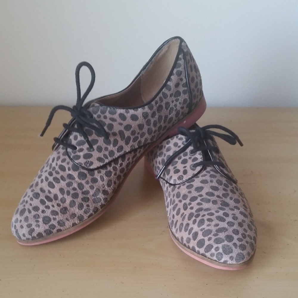 Dolce Vita suede, leopard print oxfords